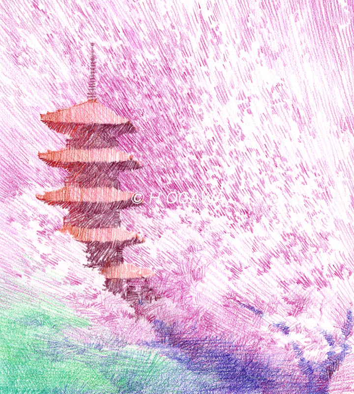 色鉛筆画、五重塔、桜