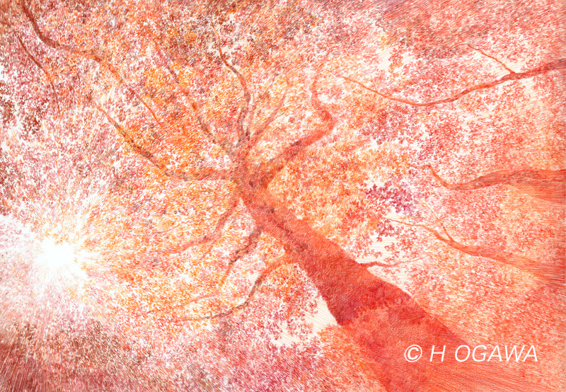 色鉛筆画、秋樹